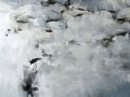 Winter-Creek-I-48x48-acrylic-on-canvas